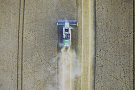 收割机丰收图片