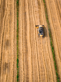 收割机丰收图片