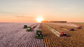 收割机丰收图片