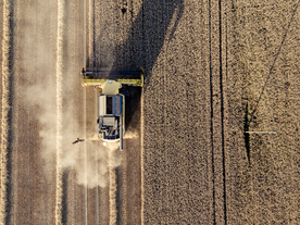 收割机丰收图片