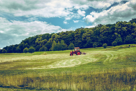 收割机丰收图片
