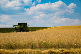 收割机丰收图片