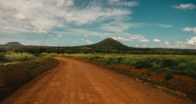 林间小路丛林小道图片