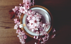 花艺插花捧花桌花图片