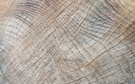 木材纹理