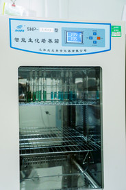 智能生化培养箱