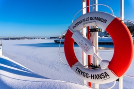 救生圈游泳圈图片