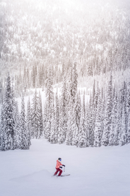 滑雪运动滑雪板图片