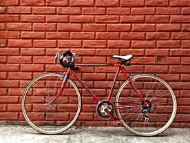 自行车共享单车车技图片