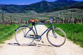 自行车共享单车车技图片