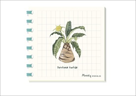 臭琉桑 多肉植物图鉴