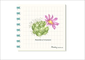 仙人球花 多肉植物图鉴