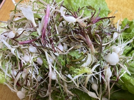 山野菜