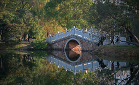 公园