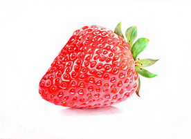草莓绘画