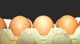 鸡蛋生鲜图片