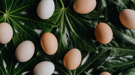 鸡蛋生鲜图片