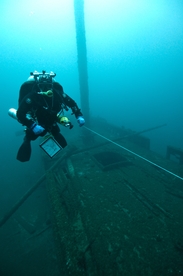 潜水游泳海底漫步图片