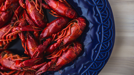 小龙虾大龙虾图片