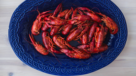 小龙虾大龙虾图片