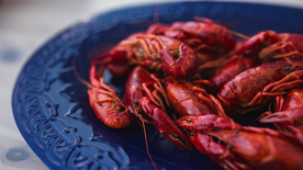 小龙虾大龙虾图片