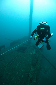 潜水游泳海底探索图片