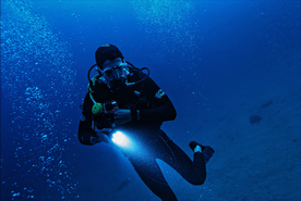 潜水游泳海底探索图片