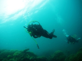 潜水游泳海底探索图片