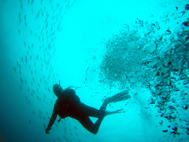 潜水游泳海底探索图片
