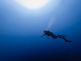 潜水游泳海底探索图片