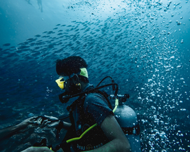 潜水游泳海底探索图片