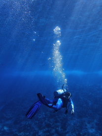 潜水游泳海底探索图片