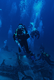 潜水游泳海底探索图片