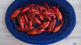 小龙虾大龙虾图片