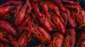 小龙虾大龙虾图片