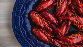 小龙虾大龙虾图片