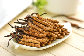 冬虫夏草中药药材图片