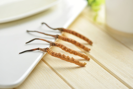 冬虫夏草中药药材图片