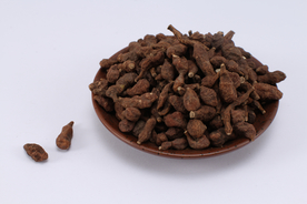 蕨麻中药药材图片