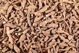 蕨麻中药药材图片