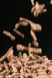 蕨麻中药药材图片