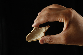 玛卡中药药材图片