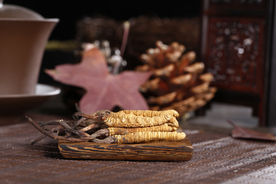 冬虫夏草中药药材图片