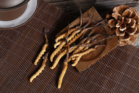 冬虫夏草中药药材图片