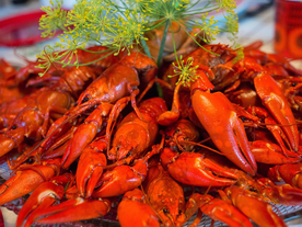 小龙虾大龙虾图片