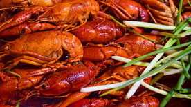 小龙虾大龙虾图片