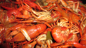 小龙虾大龙虾图片