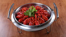 小龙虾大龙虾图片