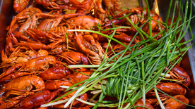 小龙虾大龙虾图片