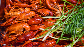 小龙虾大龙虾图片